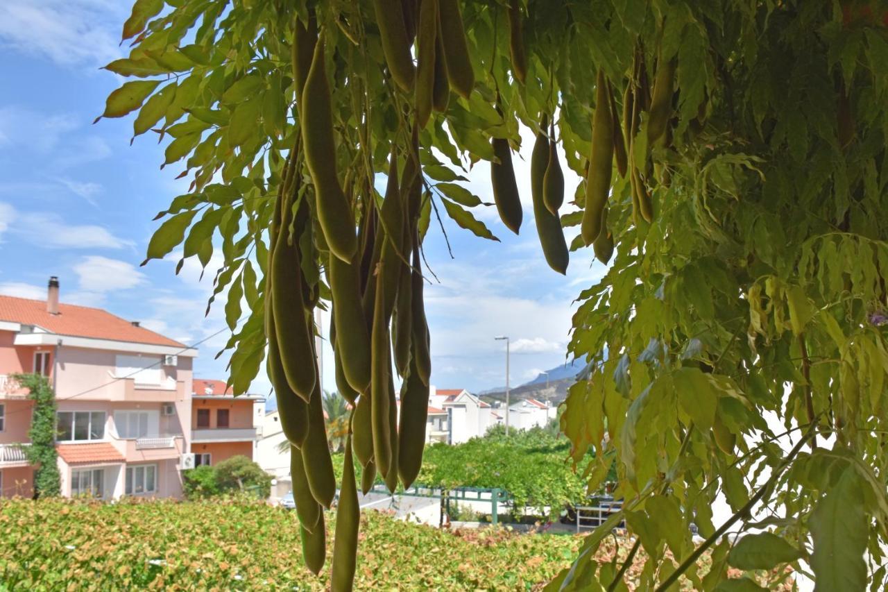 Apartments Stone Tučepi Dış mekan fotoğraf