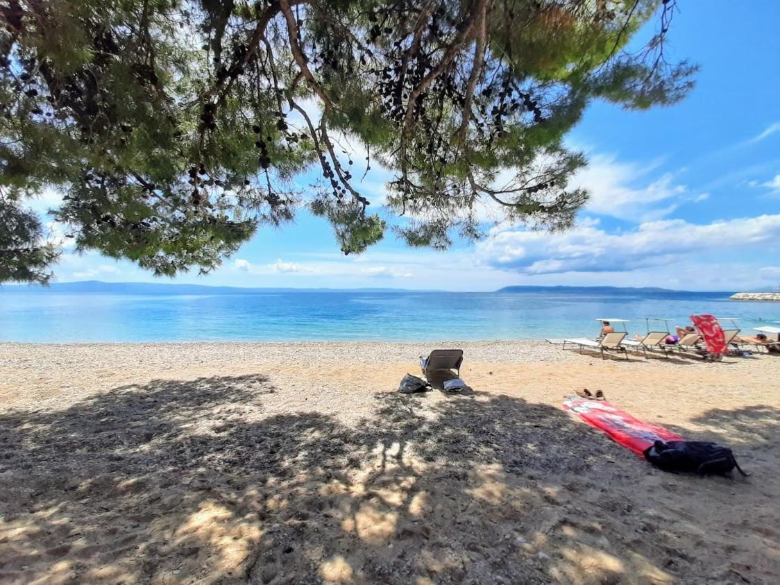 Apartments Stone Tučepi Dış mekan fotoğraf